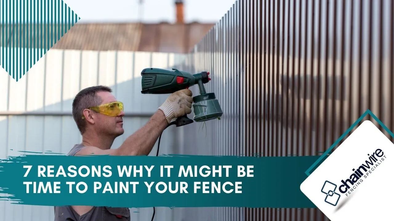 A freshly painted timber fence in a garden