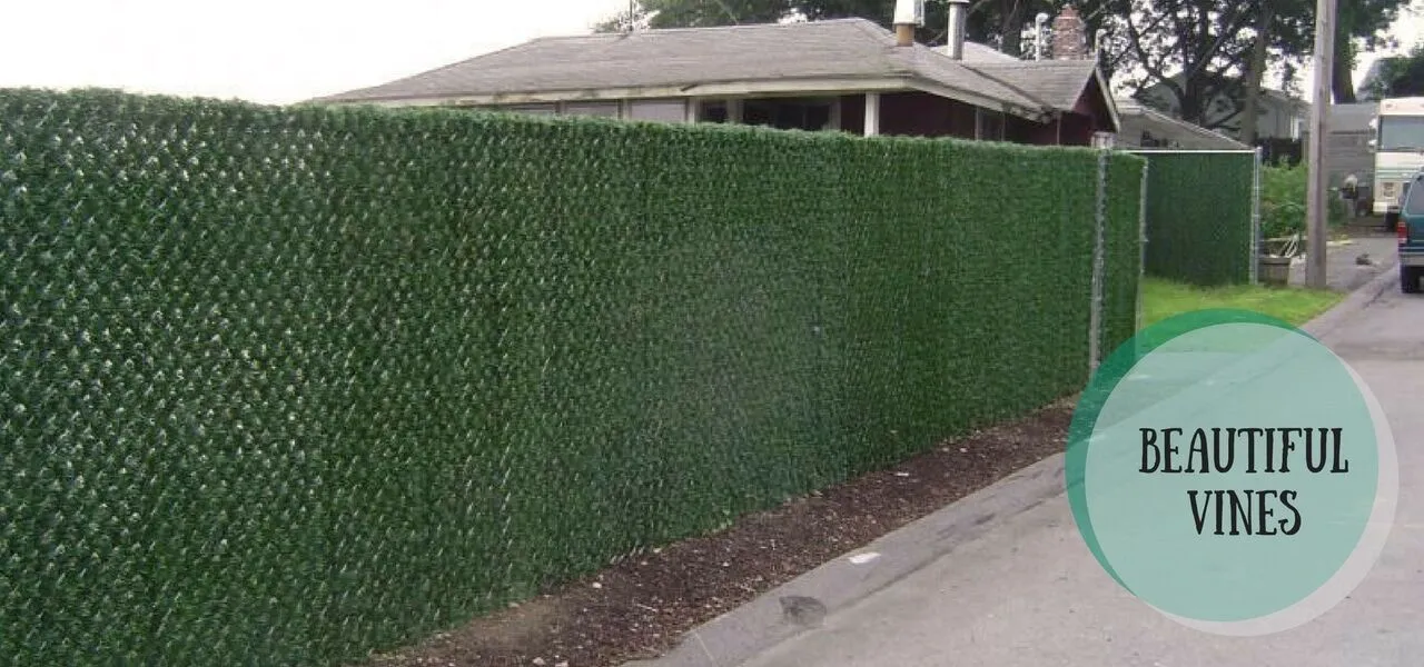 Green vines growing through and softening a chainwire fence