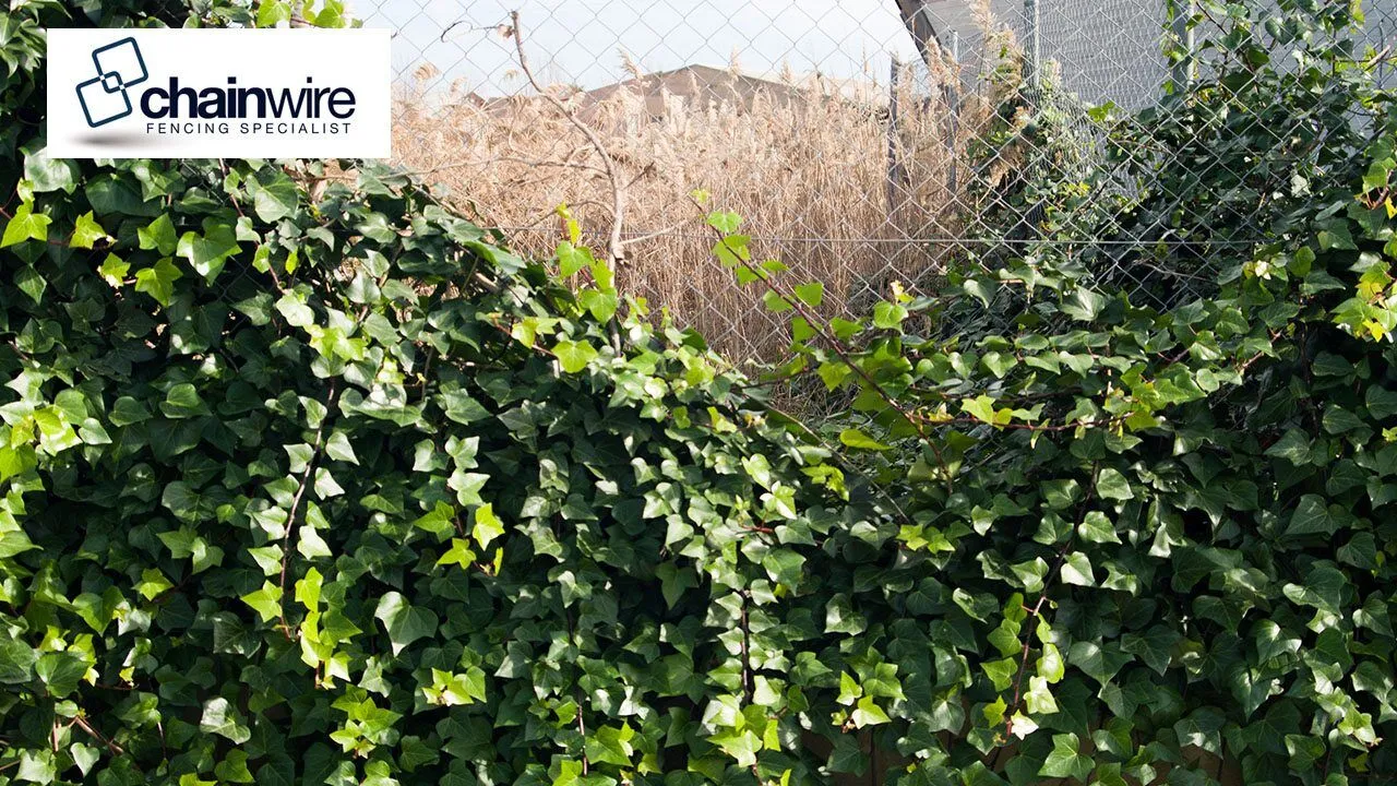 Galvanised chainwire fence standing along an open rural boundary