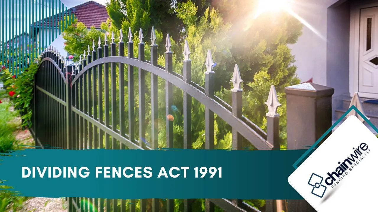 A shared timber boundary fence between two suburban yards