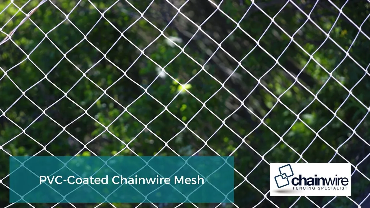 Green PVC-coated chainwire mesh fence panel