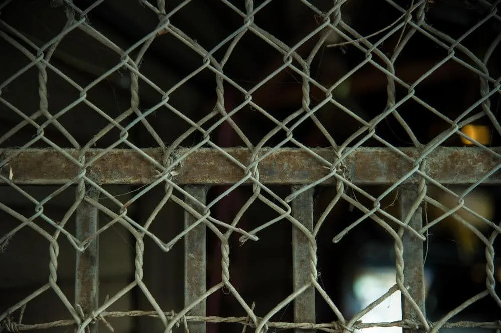 A chainwire fence showing top rail, posts and mesh