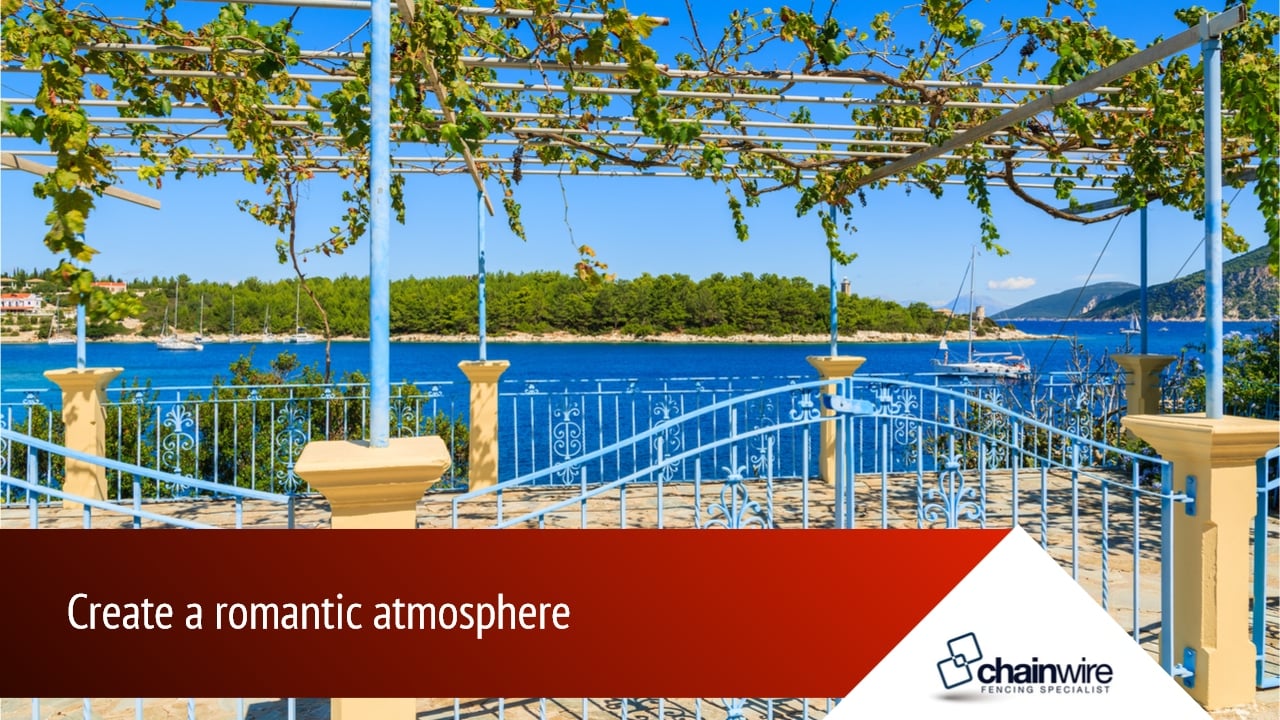 Are Your Vines Good for Your Fence? - Fence Are Your Vines Good for Your Fence? - Fence