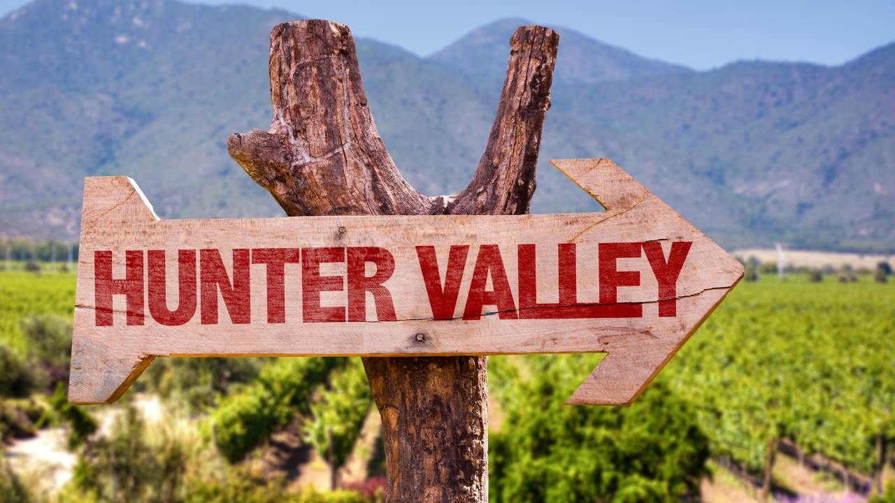 Wooden signpost reading Hunter Valley with vineyard and mountains in background