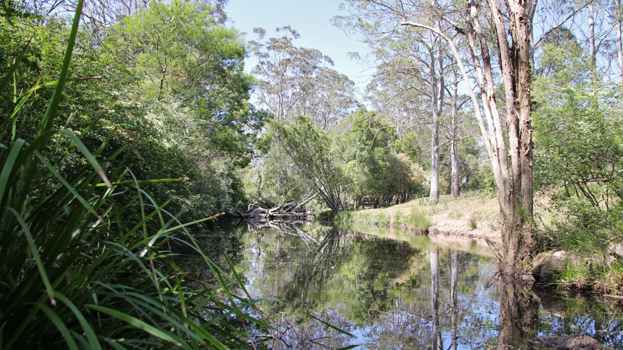 Chainwire Fencing Specialist Cooranbong